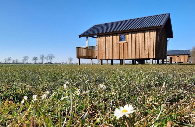 Lodges in Drenthe with Scenic Meadow Views