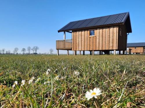Lodges in Drenthe with Scenic Meadow Views