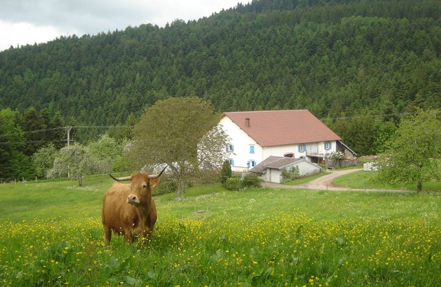 Lodging in the heart of nature between forests and meadows