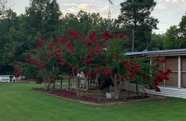 Lodging on Reelfoot Lake Upper Blue Basin at The Bayou Bungalow
