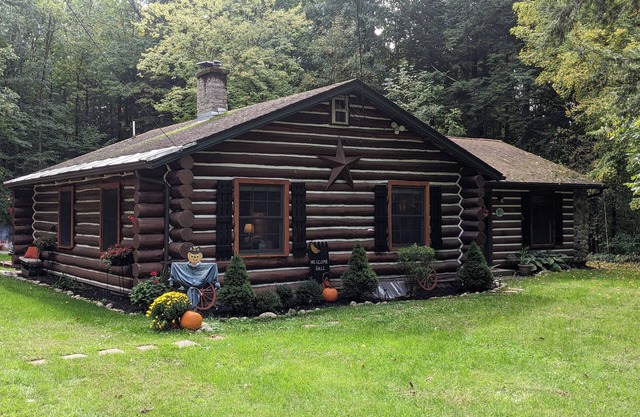 Log Cabin in the woods