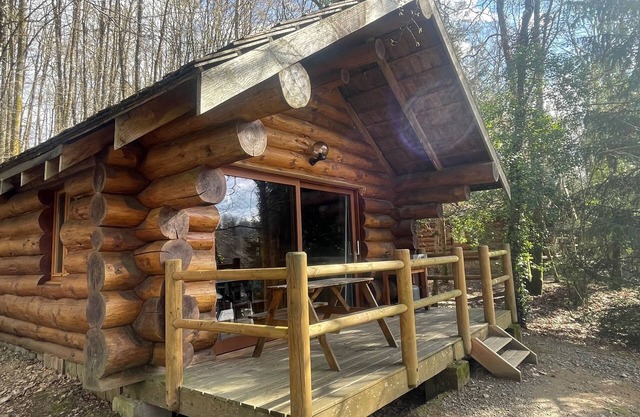 Log Cabin with Lake View – Nature Escape, Terrace, Canoe, and Activities