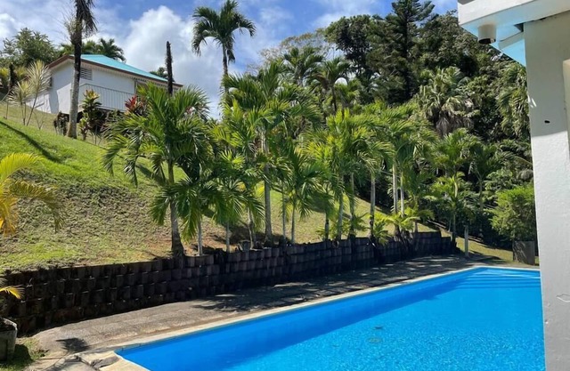 Love Nest in the heart of the forest