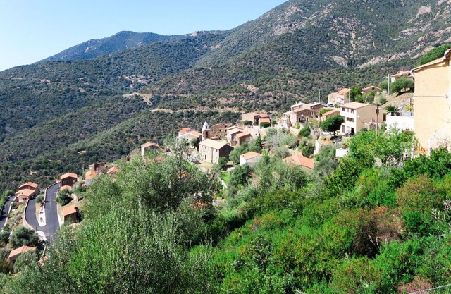Lovely apartment for 3 people with WIFI, A/C, TV, patio, pets allowed, panoramic view and parking