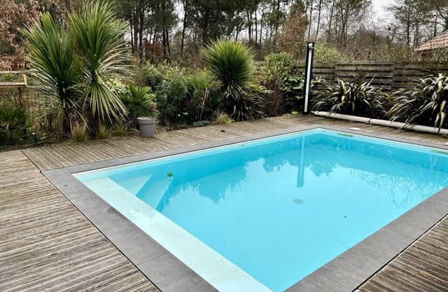 Lovely studio on the edge of the forest
