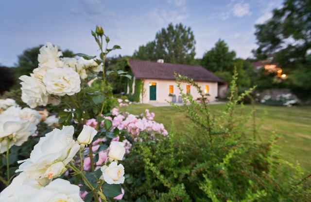 Loving cottage in a quiet area