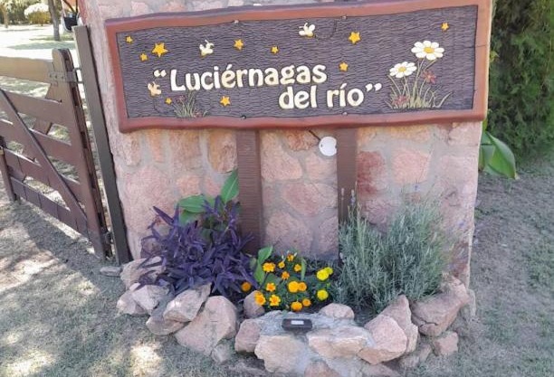 Luciérnagas del Rio