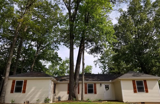 Lucky Lake Haven - Peaceful & Beautiful with all the extras