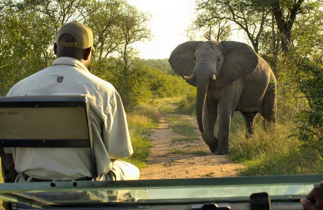 Lukimbi Safari Lodge