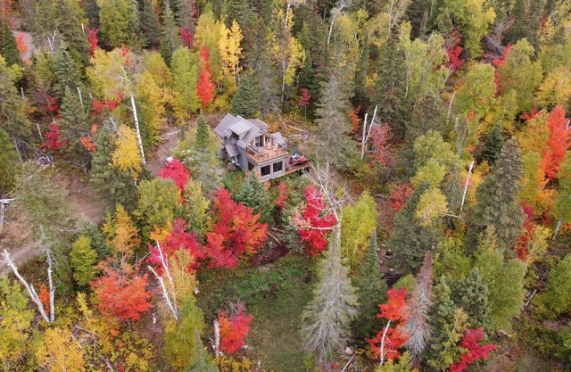 Lutsen Little Bear Lodge - Secluded Lutsen Mountain Cabin With Superior View