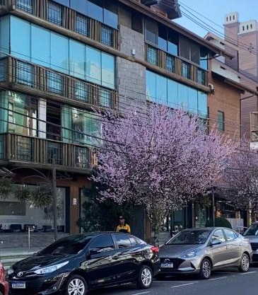 LUXUOSO APT ALMERIS PECCIN no Centro de GRAMADO