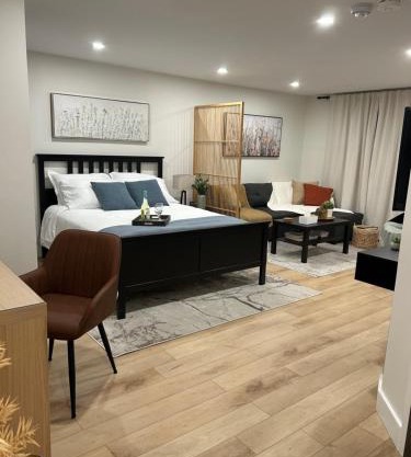 Luxurious modern basement apartment