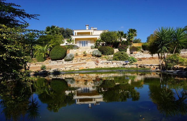 Luxurious villa 9 p. - property 50 acres in the middle of olive trees - magnificent view