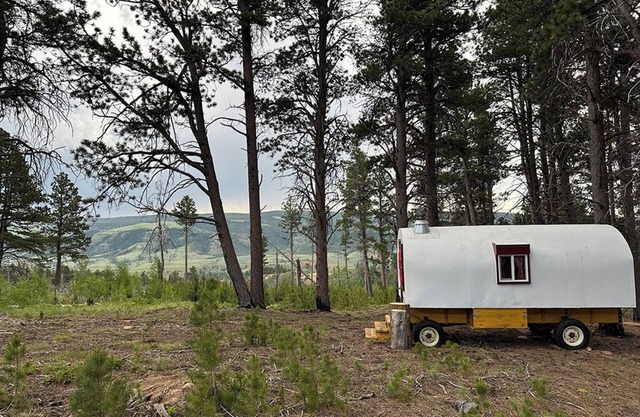 Luxuriously Rustic Hand-Crafted Sheep Wagon in Private Wooded Area with Views