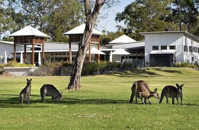Luxury 2 bedroom house-family getaway in bushland resort: beach,pool,spa,tennis.
