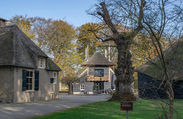 Luxury accommodation at the edge of the forest