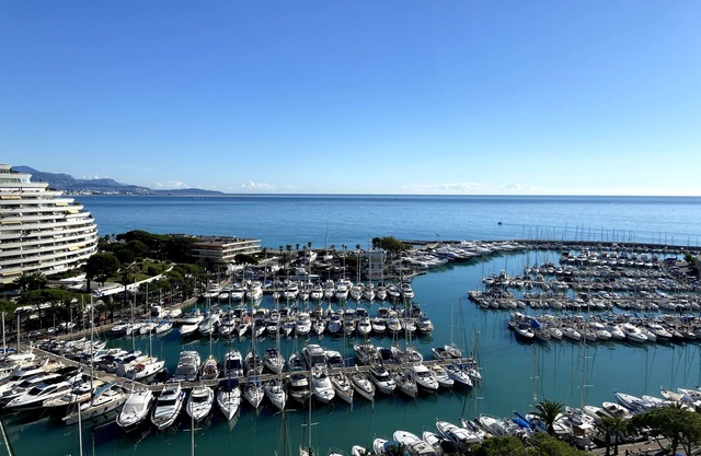 Luxury and Safety on the Cote d'Azur - 1BR Condo in Marina Baie des Anges