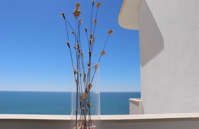 LUXURY APARTMENT VISTA PANORAMICA WITH MAGNIFICENT SEA VIEW DIRECTLY BY THE SEA