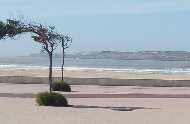 LUXURY APARTMENT IN FRONT OF THE BEACH
