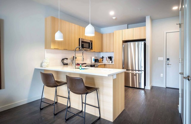 Luxury Apt Downtown S
