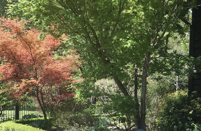 Luxury Cottage Private HOT TUB - Creekside