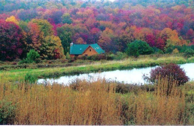 Luxury Galilee Log Cabin Damascus, PA