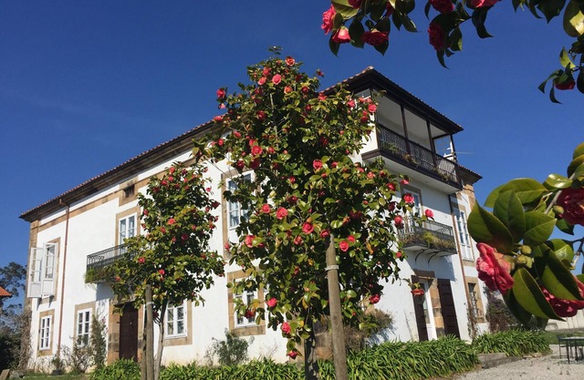 Luxury house with private garden.