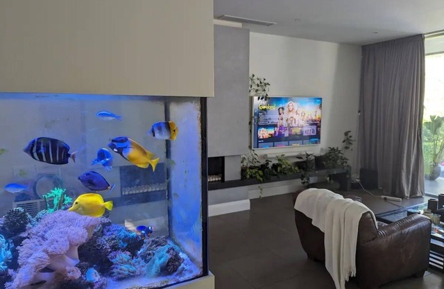 Luxury Tudor with Pool