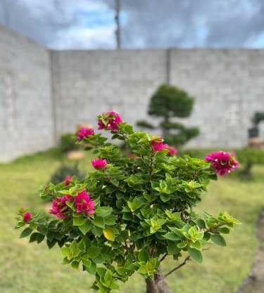 Mộc home garden
