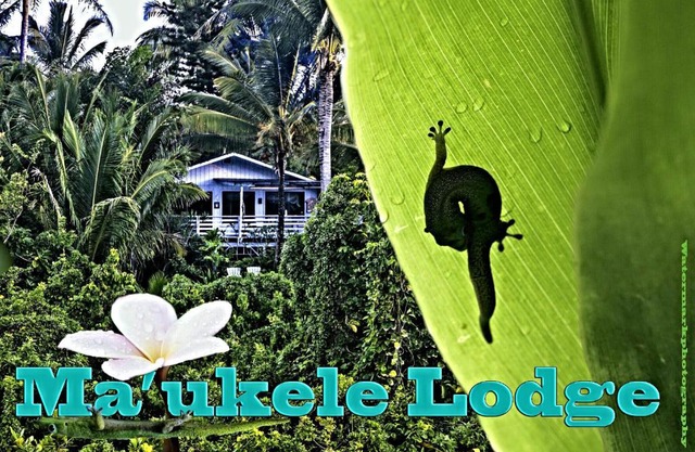 Ma'ukele Lodge