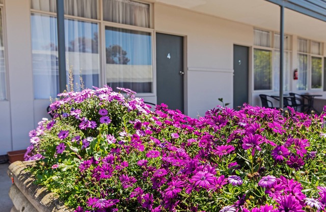 Maffra Motor Inn