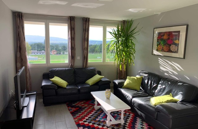 Magnificent House 2 steps from Geneva/Ski Resort