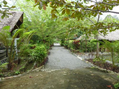 Magpie homestay & jungle trekking especially for guest trekking with us