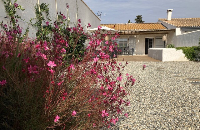 Maison en Camargue à 5 mn des Saintes Maries de la Mer Avec Bassin D'agrément