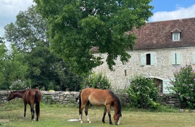 Maison Hourquebie-Charming house entirely renovated 5 min from the river