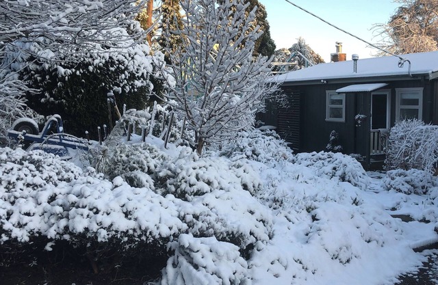 Maisie’s Cottage Cozy 2-bedroom cottage in historic Mount Victoria