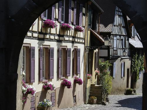 Maison à Colombages au Cœur du Vignoble Alsacien avec Parking et Chauffage Inclus - FR-1-744-23