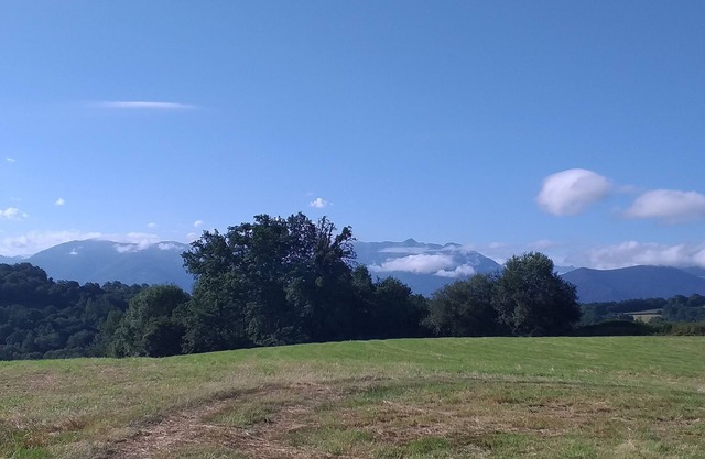 Maison à la Campagne Avec Piscine à Proximité de Nay