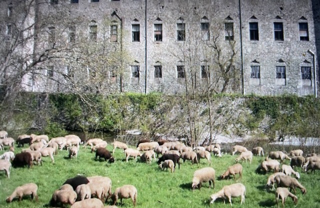 Maison au coeur des cévennes