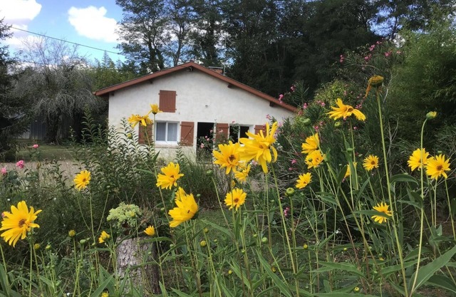 Maison Bray - Hinx - Gîte
