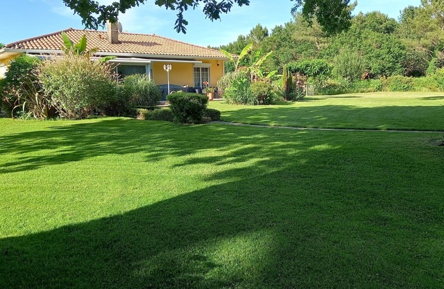 Maison de Campagne Dans un Cadre Verdoyant Arboré de Chènes Centenaires