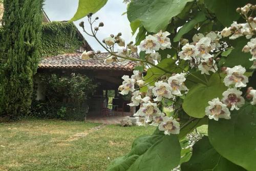 Maison de charme confortable au cœur de la nature