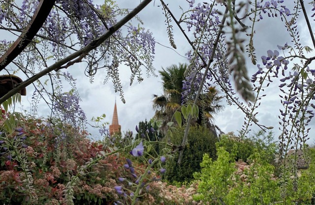 Maison de Maître en Campagne Toulousaine