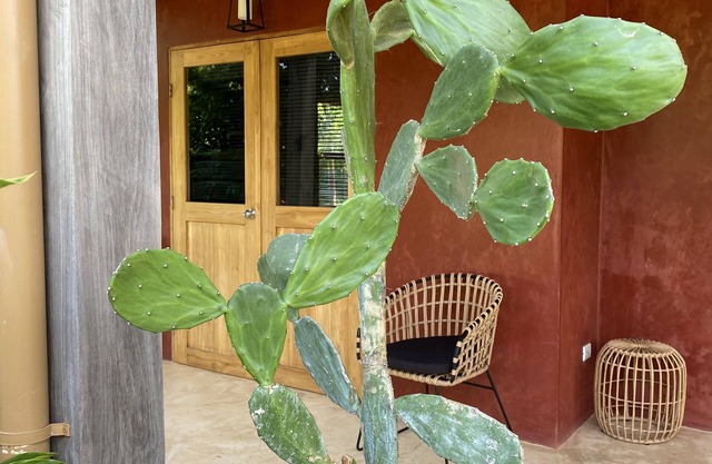 Maison de Plage Avec Piscine sur Spot de Surf