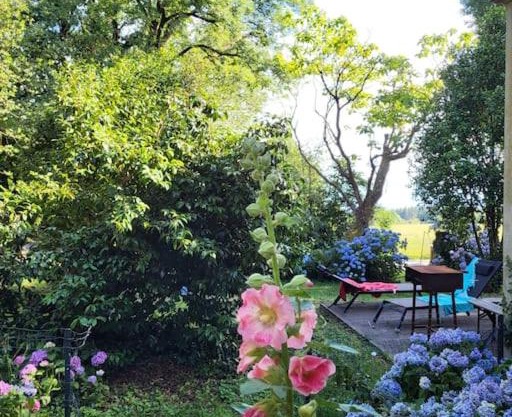 Maison gîte tranquille et nature.