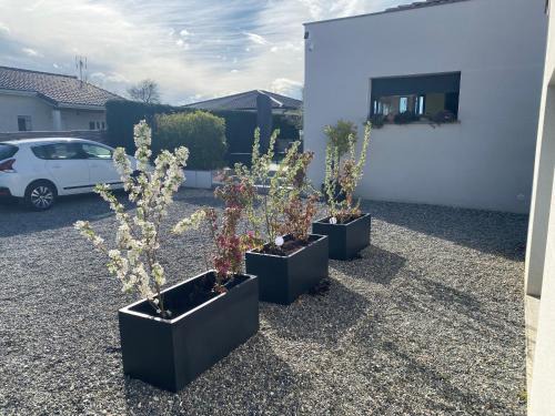 Maison grand studio indépendant avec jardin et piscine communs