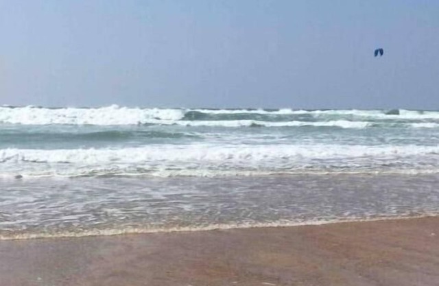 Maison zen Entre Océan et Forêt - Terrasse et Jardin