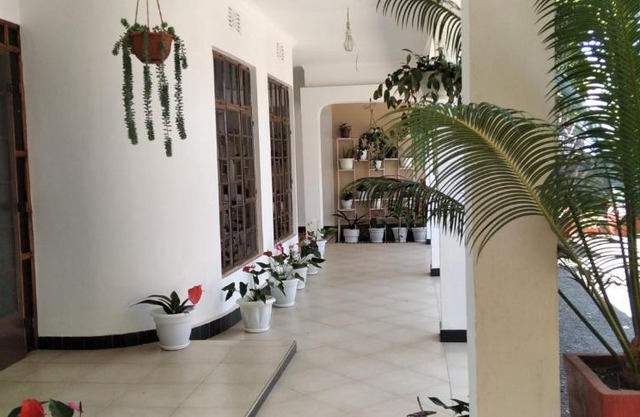 mamacollins homestay