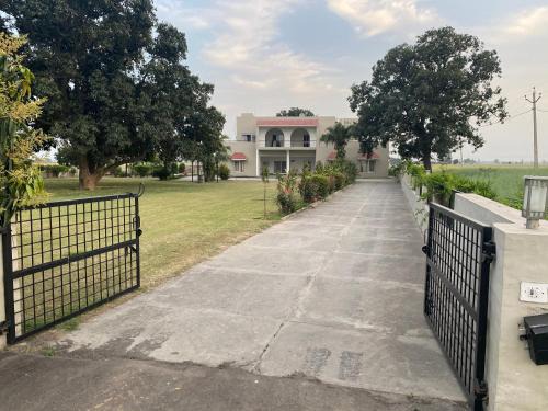 Mango Grove Farm