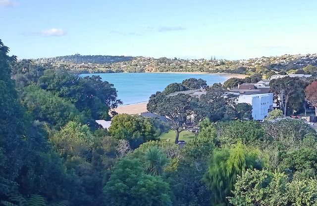 Manly Beach Delight
